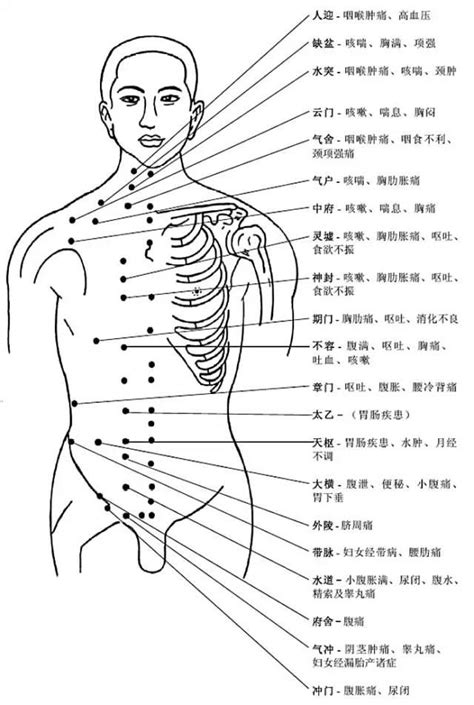 二十大名穴|穴位